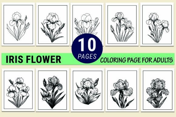 Iris Flowers Coloring Page KDP Interior